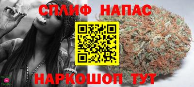 стафф Краснознаменск